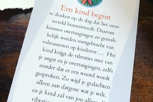 Kaartendek: De Wet van Aantrekking - Esther Hicks